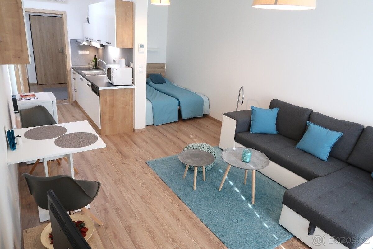 Pronájem byt 1+kk - Brno, 602 00