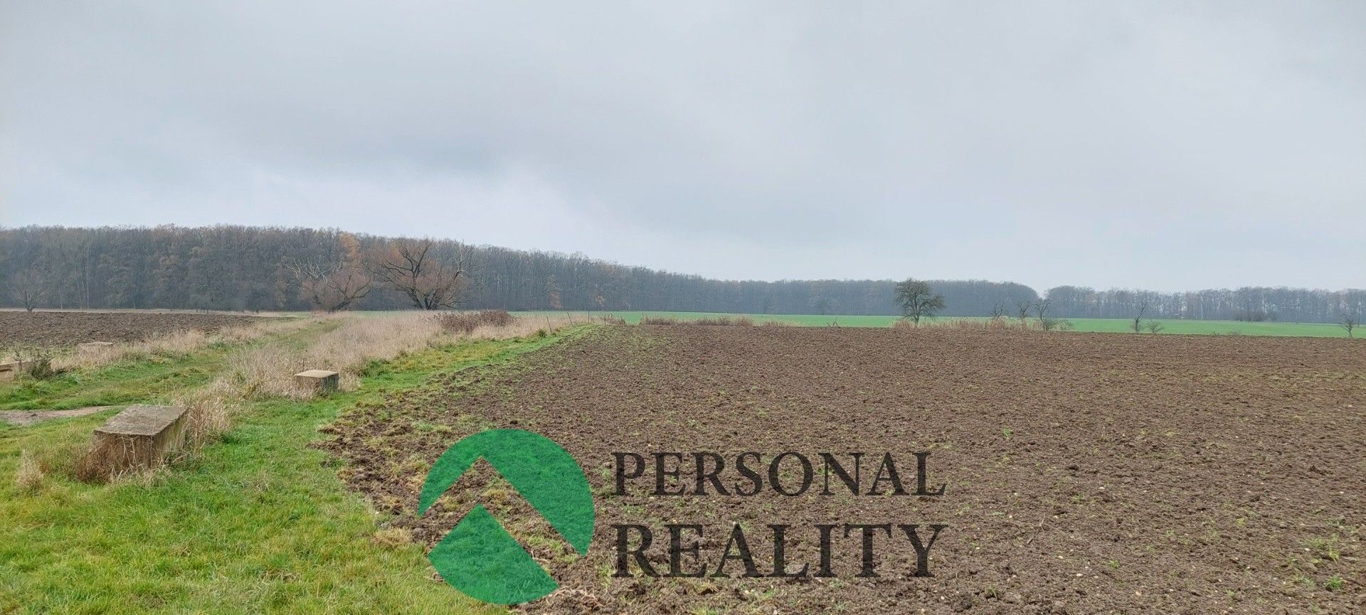 Pronájem zemědělský pozemek - Lodín