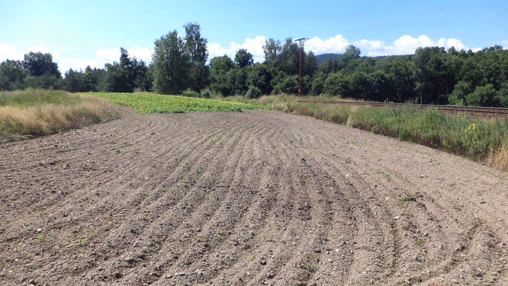 Ostatní, Stráž, 15 m²