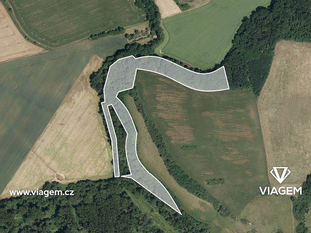 Prodej les - Tulešice, okres Znojmo, Jihomoravský kraj - 2