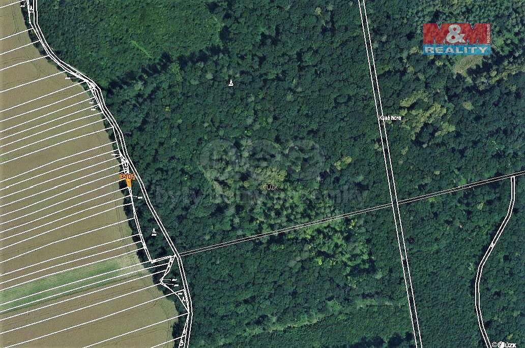 Les · Zborovice, okres Kroměříž, Zlínský kraj - 4