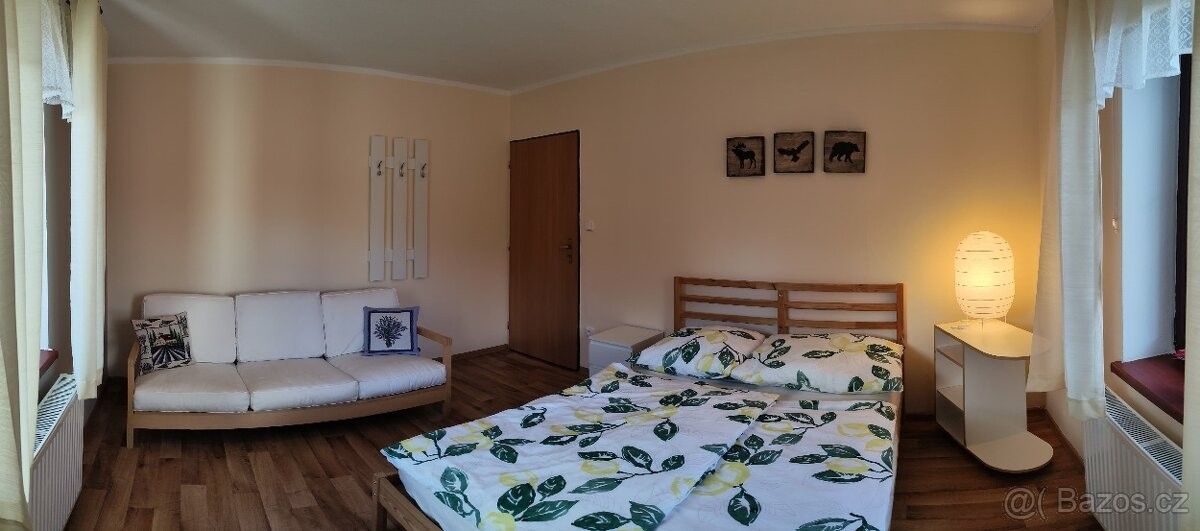 Rodinné domy, Město Albrechtice, 793 95