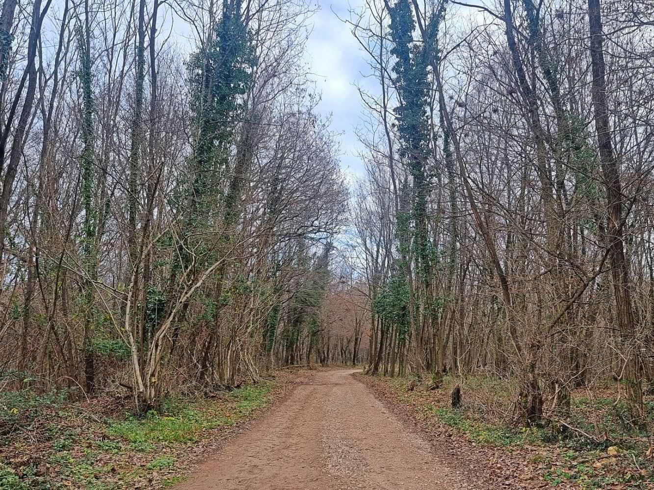 Pozemek pro bydlení · Labin, HR - 4