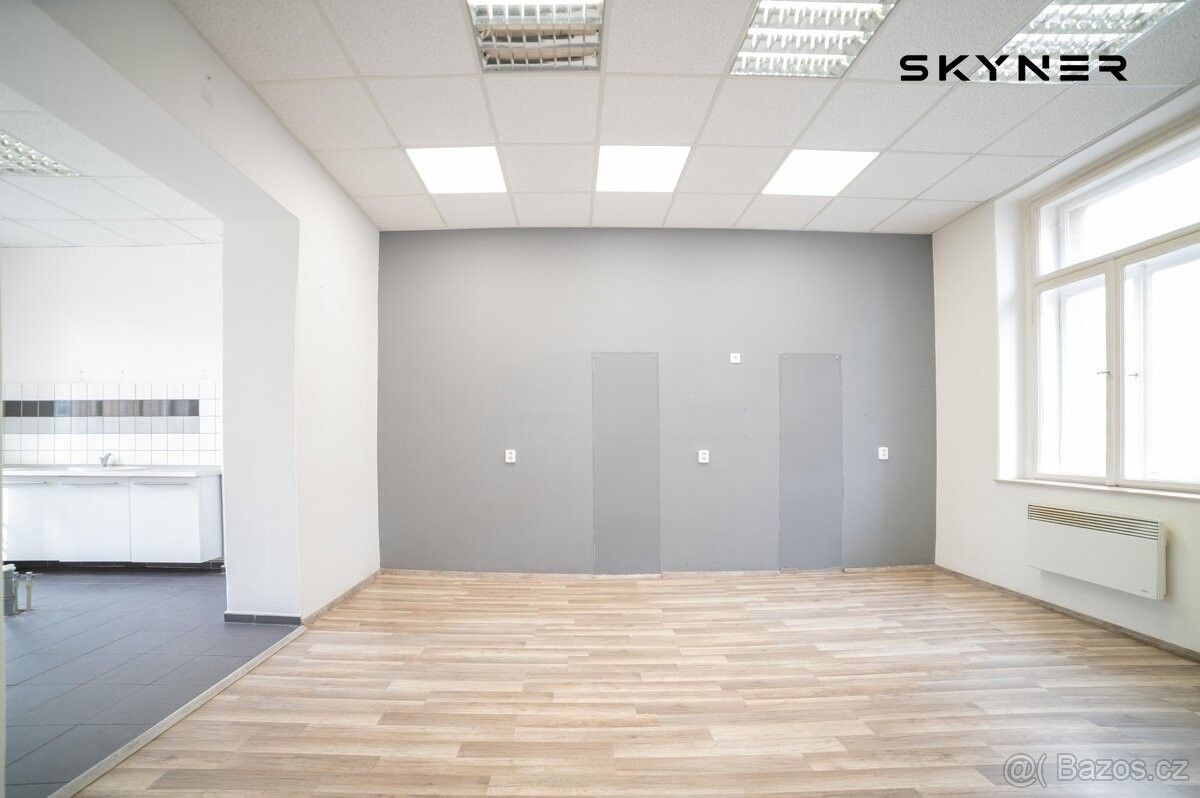 Pronájem obchodní prostory - Ústí nad Labem, 400 01, 43 m²