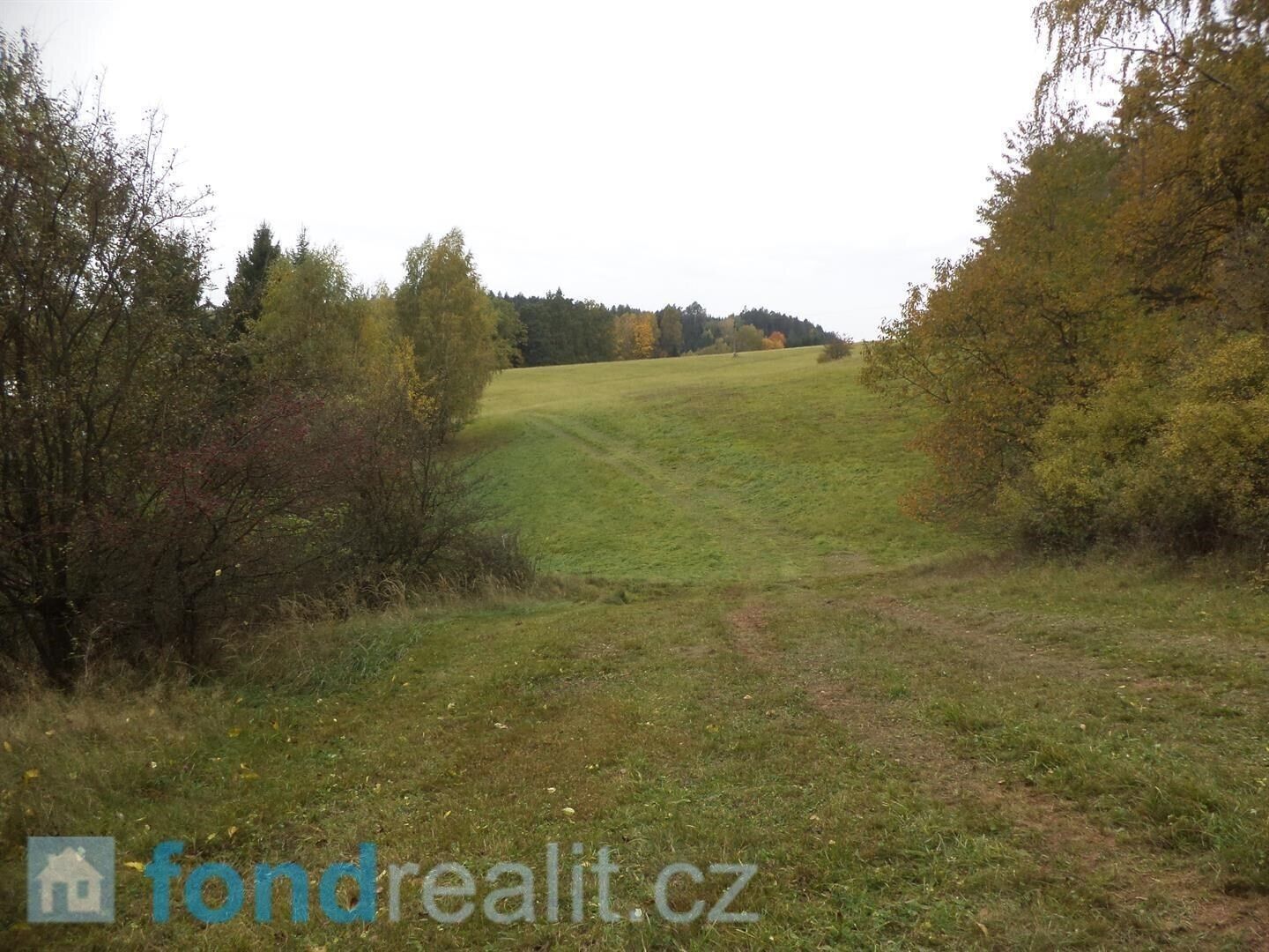 Komerční pozemek · 4 068 m² · Vidochov - 3