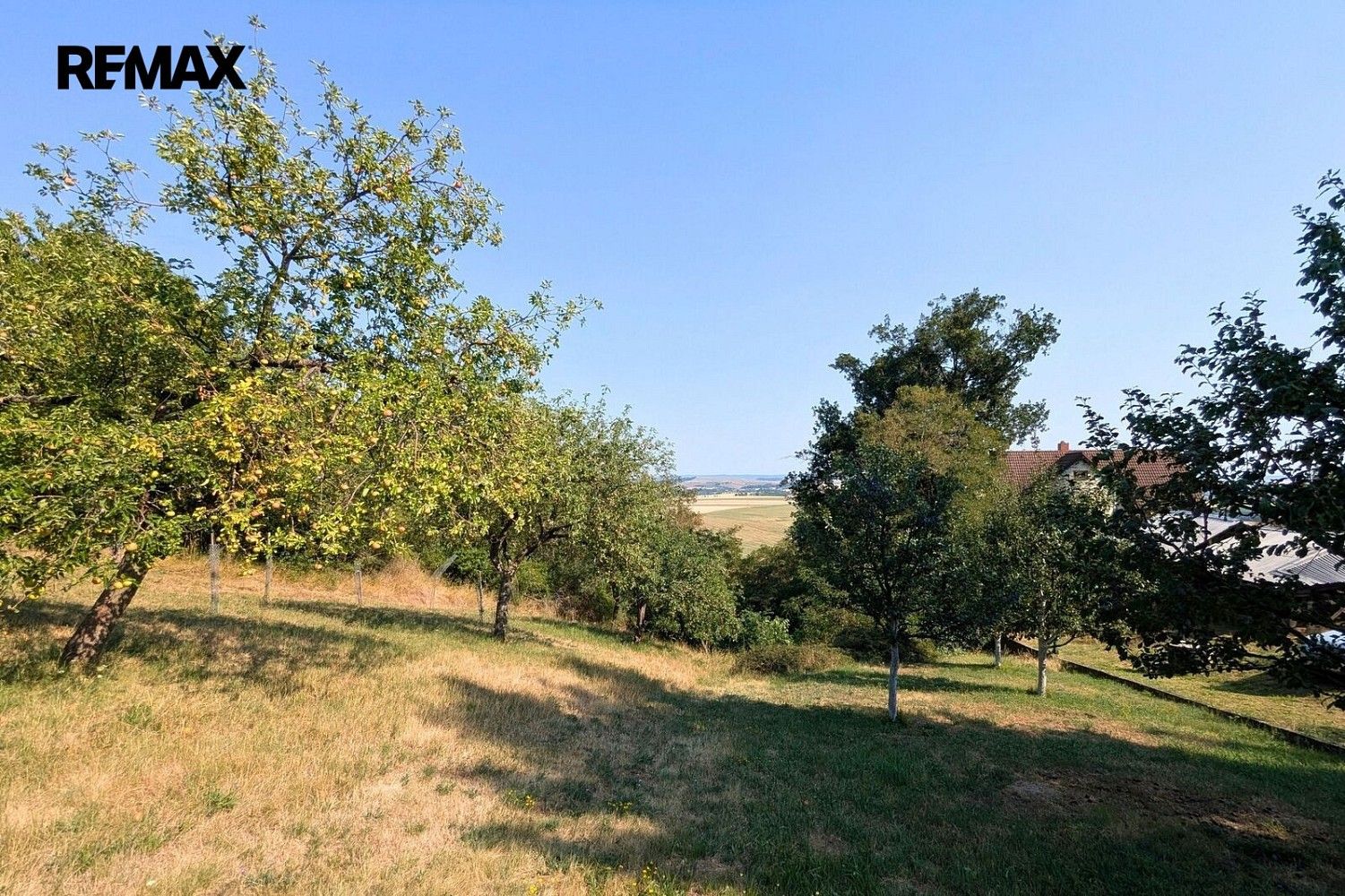 Zahrada · Viničné Šumice, okres Brno-venkov, Jihomoravský kraj - 2