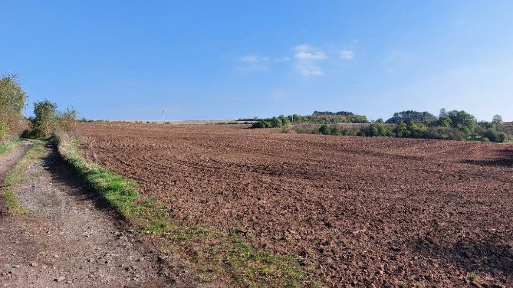 Zemědělské pozemky, Třebíz, 50 474 m²