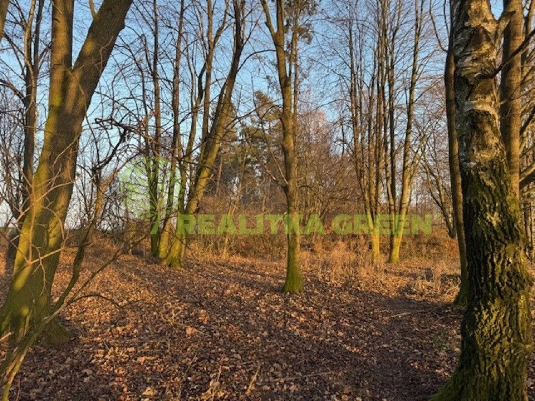 Lesy, Jistebník, 5 452 m²