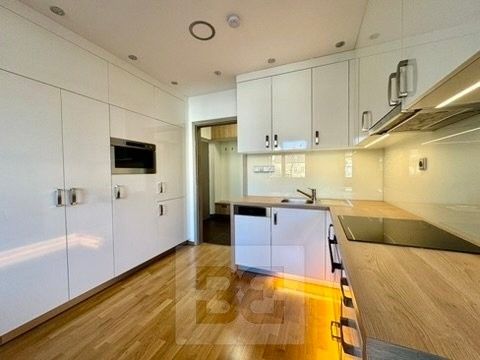 1+kk, Milady Horákové 2045, Brno, 44 m²