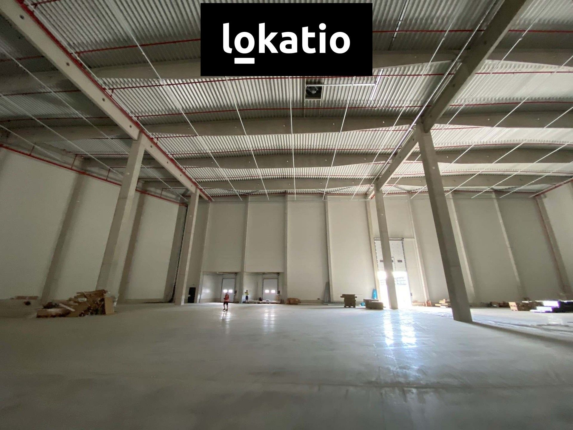Pronájem sklad - Mohelnice, 10 000 m² - 5