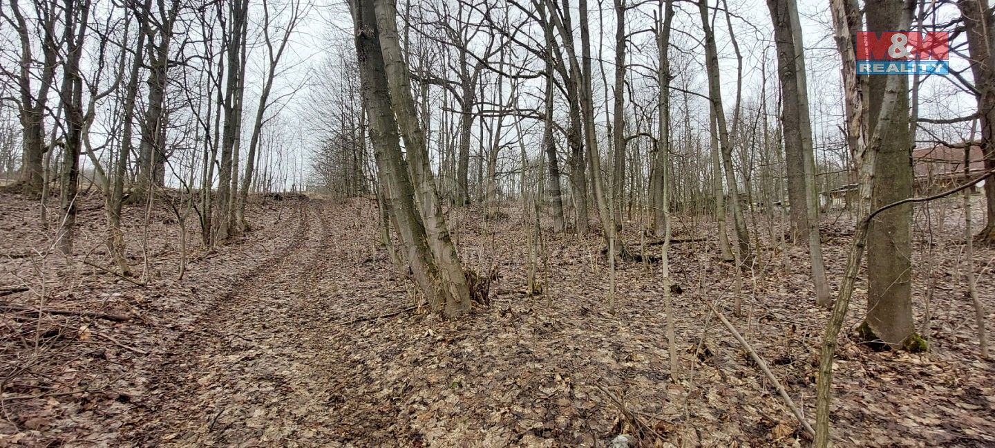 Pozemek · Budišov nad Budišovkou - Podlesí, okres Opava, Moravskoslezský kraj - 4