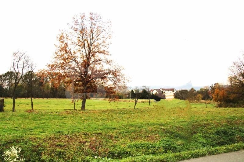 Pozemky pro bydlení, Mankovice