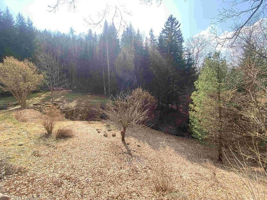 Prodej zahrada - Pěčín, okres Rychnov nad Kněžnou, Královéhradecký kraj - 2