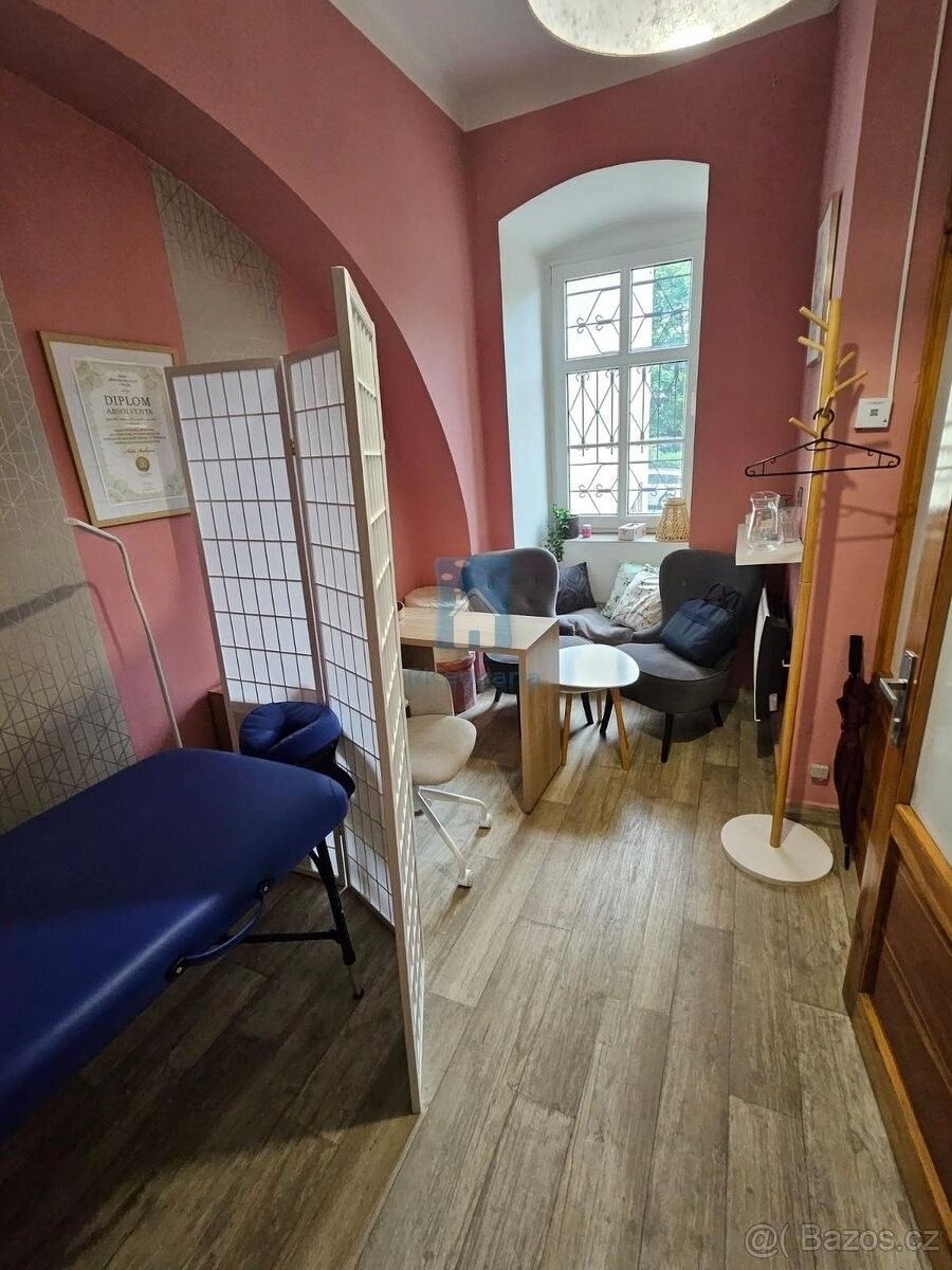 Ostatní, Plzeň, 301 00