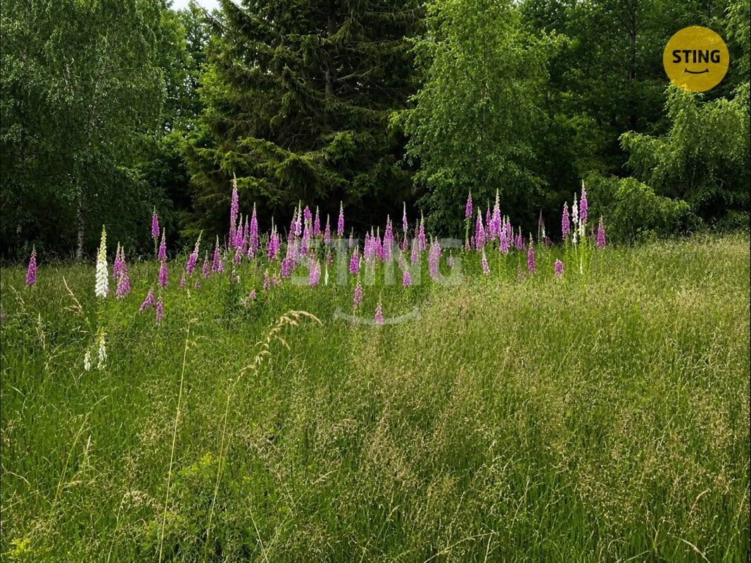Louka · 6 262 m² · Košařiska - 4