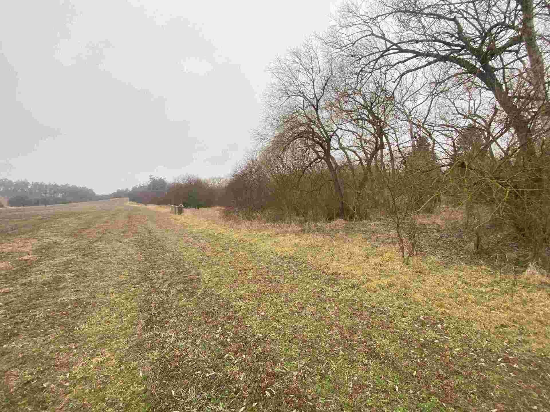 Prodej pozemek - Marketa, Písečné, 1 m²