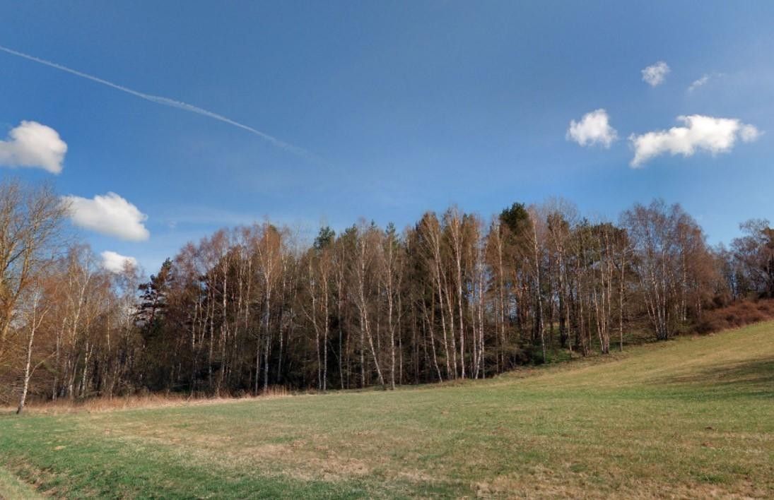 Louky, Hošťka, 22 911 m² - 2