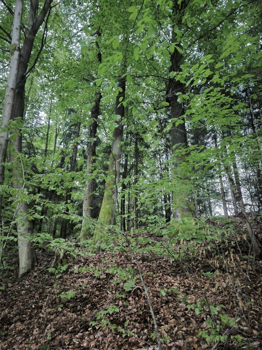 Pozemky pro bydlení, Zábřeh, 789 01 - 2
