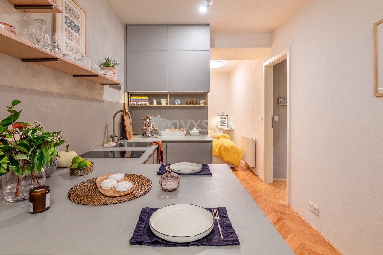 1+kk, Lucemburská, Praha, 25 m²