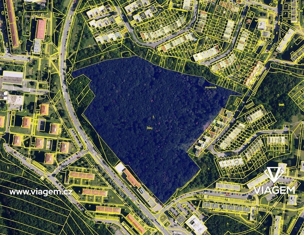 Lesy, Brno, okres Brno-město, Jihomoravský kraj - 2