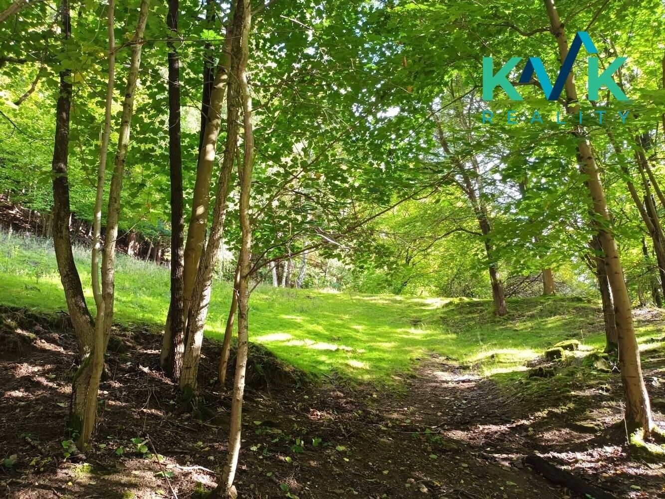 Pozemek · 5 448 m² · Loket Údolí - 4