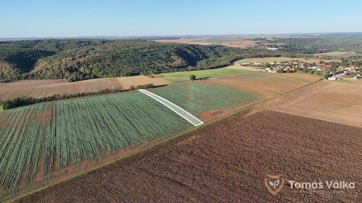 Prodej pozemek pro bydlení - Moravský Krumlov, 672 01
