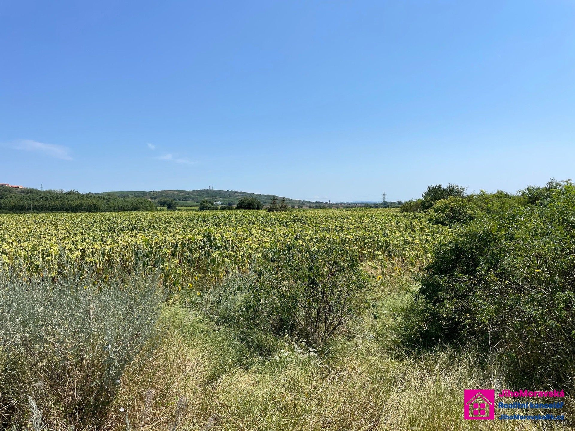 Prodej pozemek - Nové Mlýny, Přítluky, 17 m²