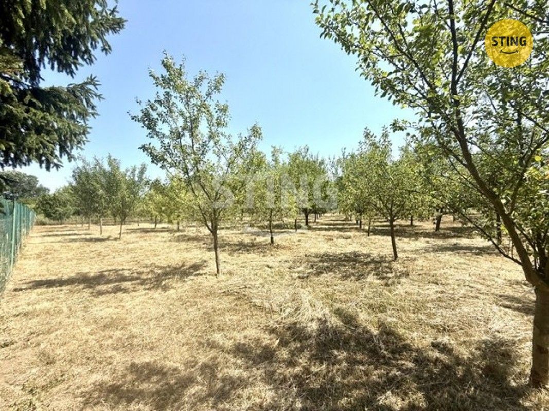 Zahrada · 4 652 m² · Strážnice - 4