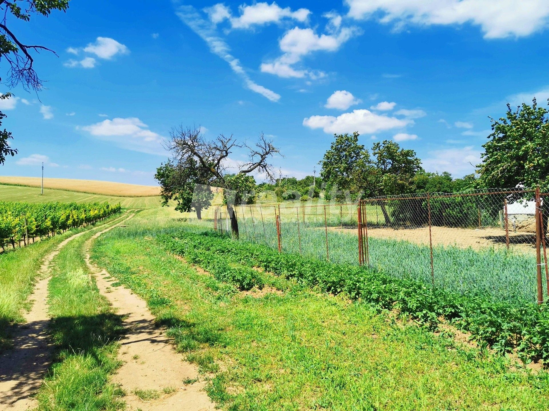 Pozemky pro bydlení, Miroslav