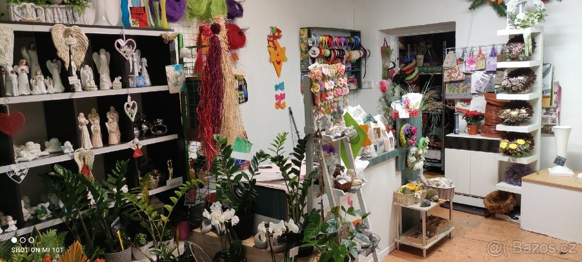 Obchodní prostory, Ostrava, 702 00