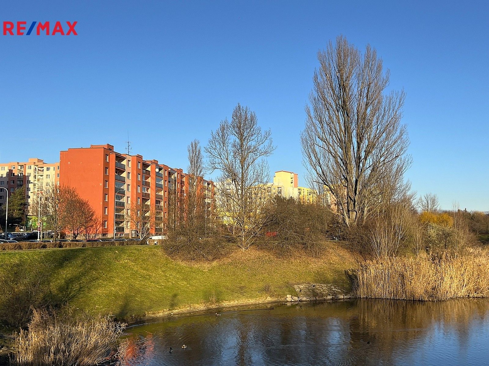 3+1, Paculova, Praha, 88 m²