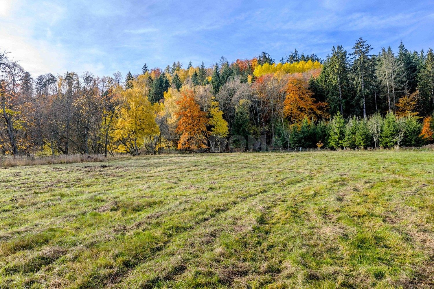 Pozemek pro bydlení · Konstantinovy Lázně - Poloučany, okres Tachov, Plzeňský kraj - 3