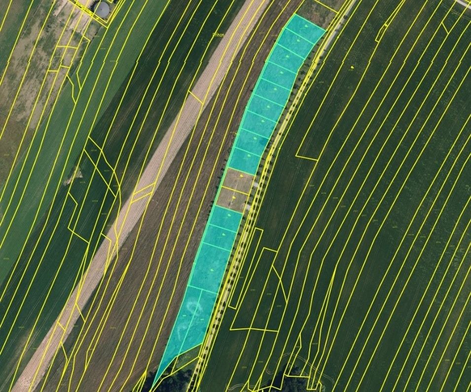 Prodej pozemek - Maršov