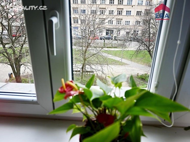 Prodej byt 3+kk - NA ROKYTCE 1329/2, 72 m² - 5