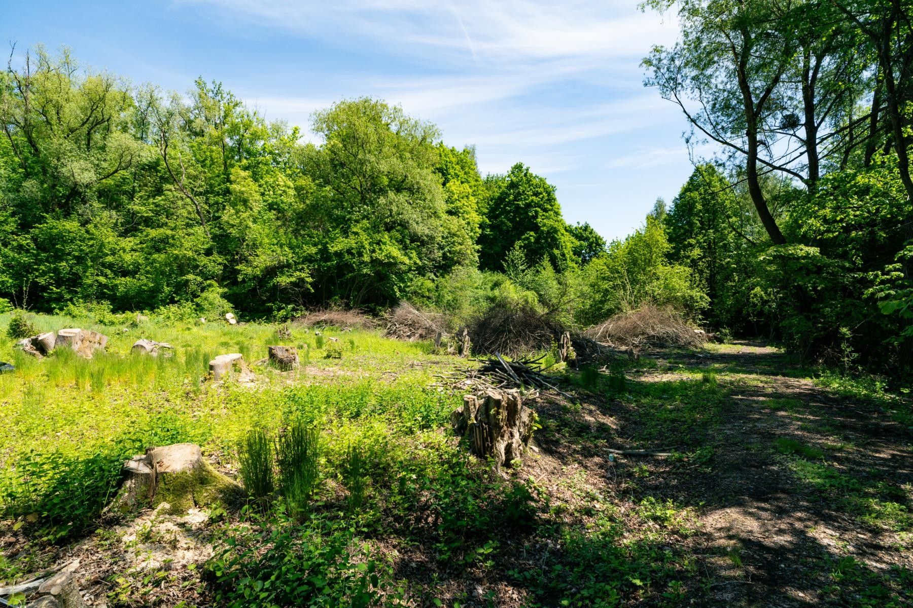 Prodej zahrada - Město, Orlová, 2 646 m² - 5