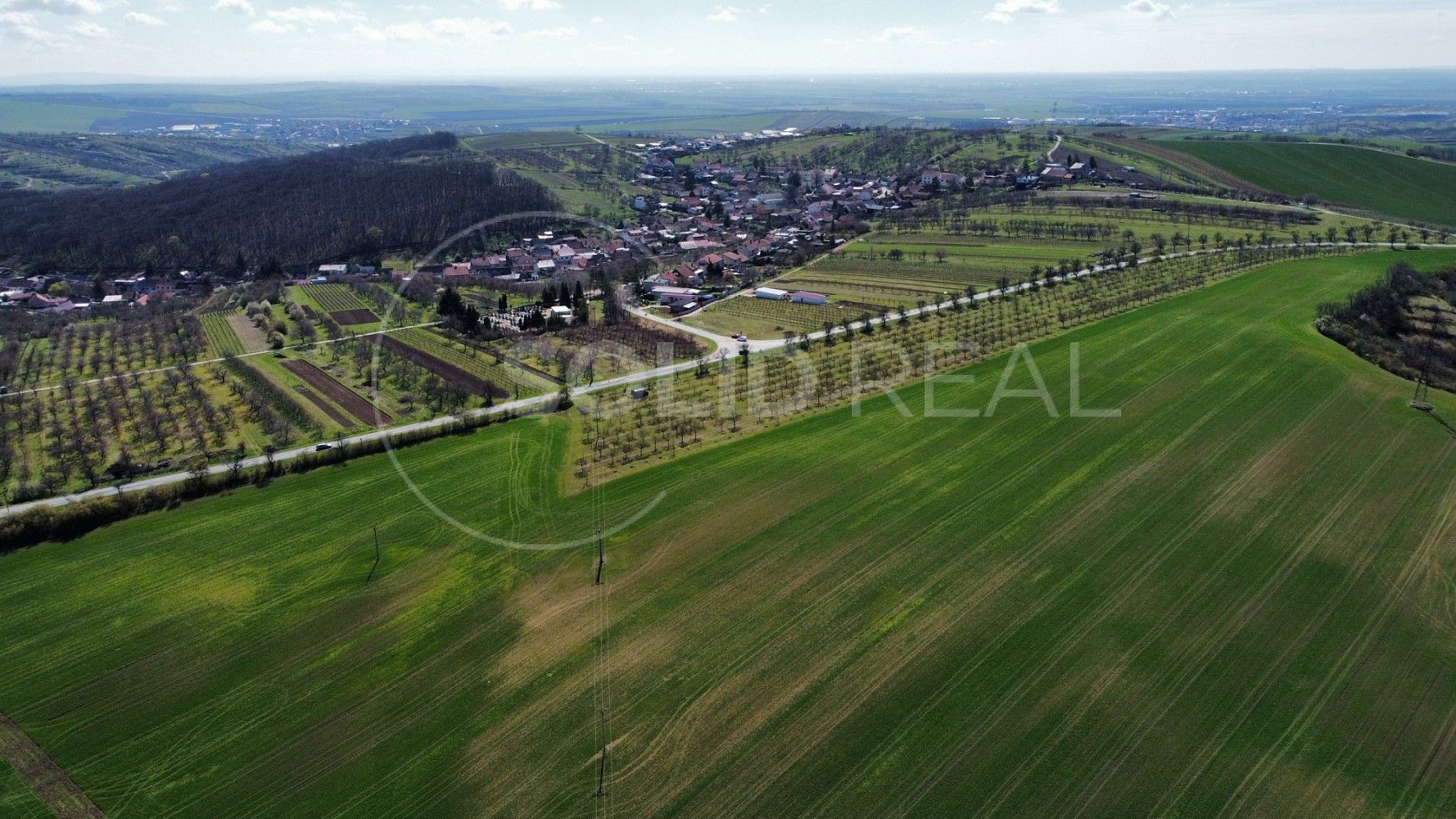 Zemědělský pozemek · Horní Bojanovice, okres Břeclav, Jihomoravský kraj - 3