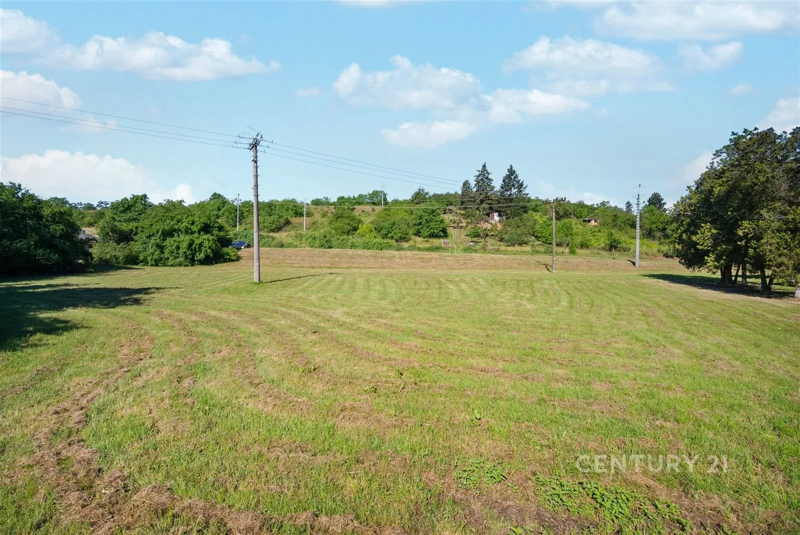Ostatní