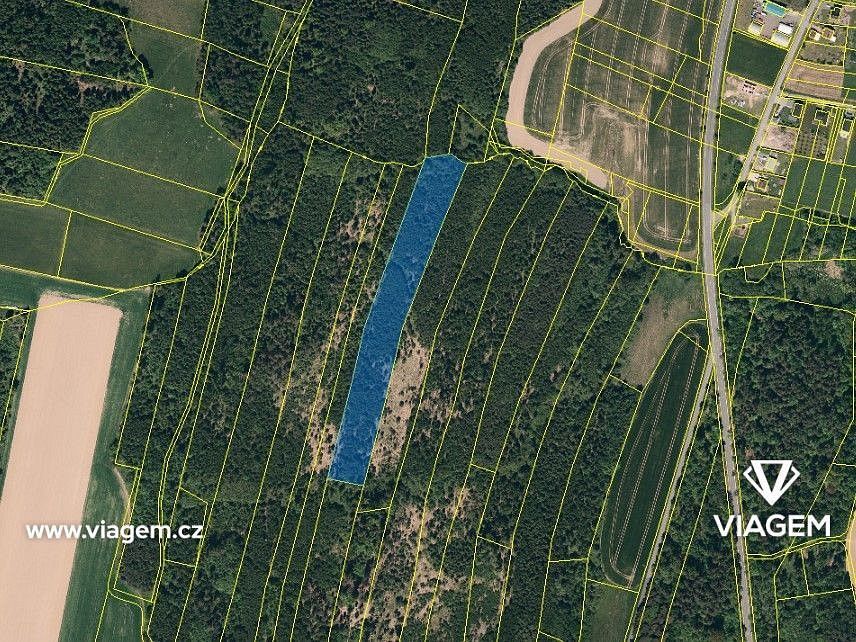 Prodej les - Březová, okres Opava, Moravskoslezský kraj - 2