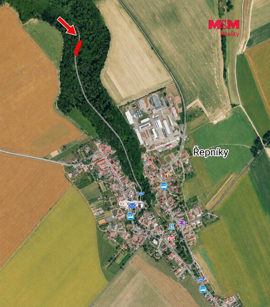 Les · Řepníky, okres Ústí nad Orlicí, Pardubický kraj - 3