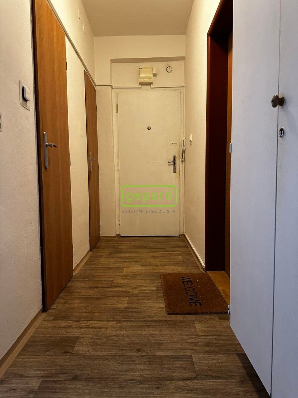 3+1, Tábor, Brno Žabovřesky, 72 m² - 1