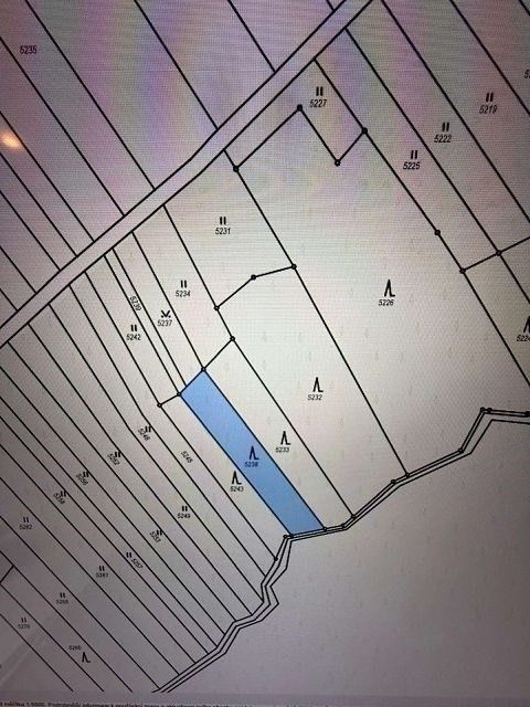 Prodej les - Březolupy