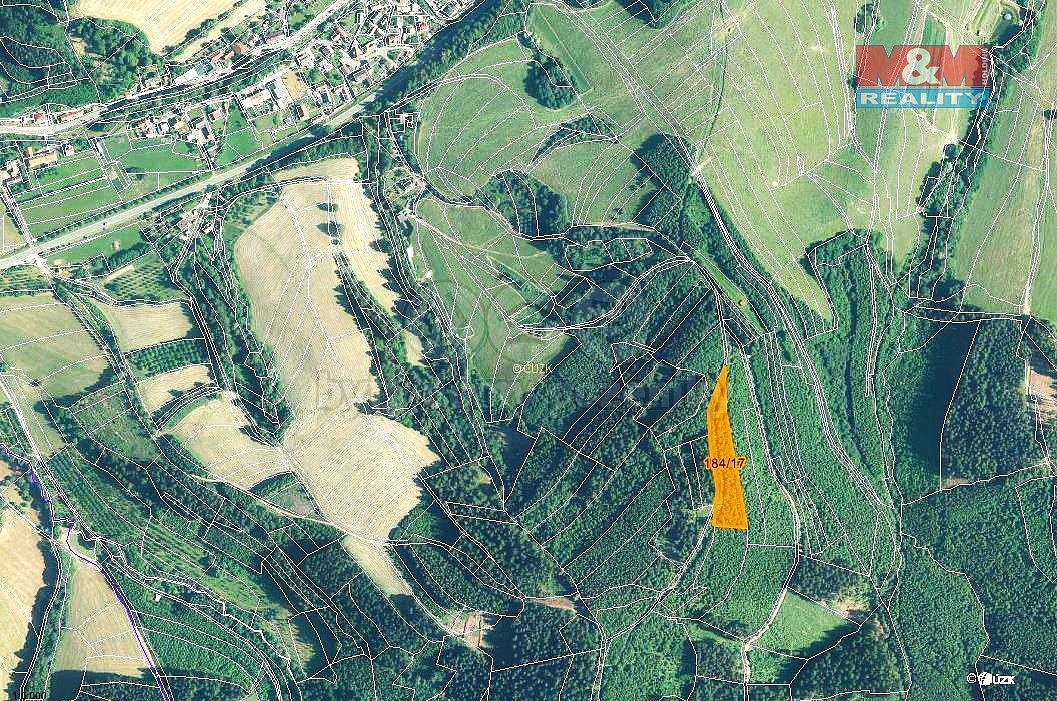 Les · Lhota u Vsetína, okres Vsetín, Zlínský kraj - 3