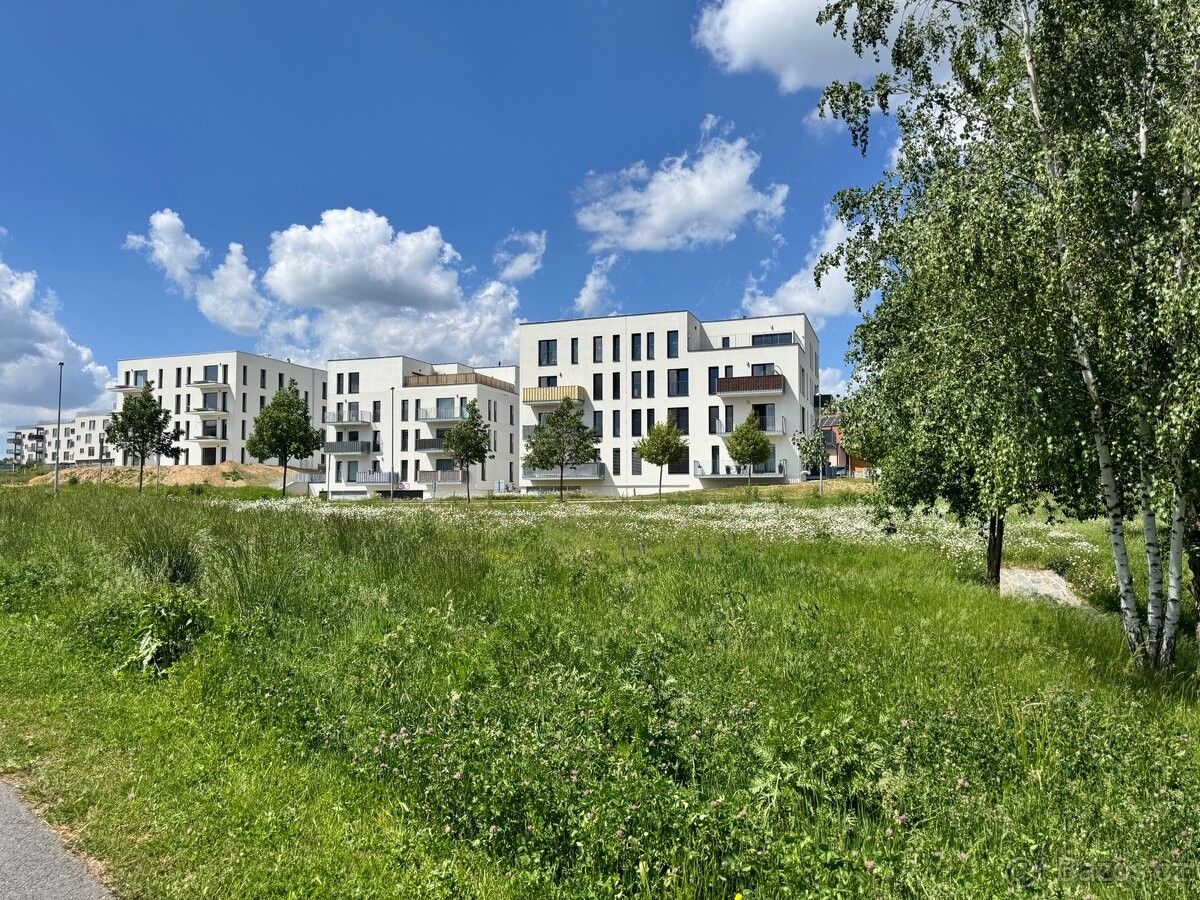 Byty, Žďár nad Sázavou, 591 01 - 1