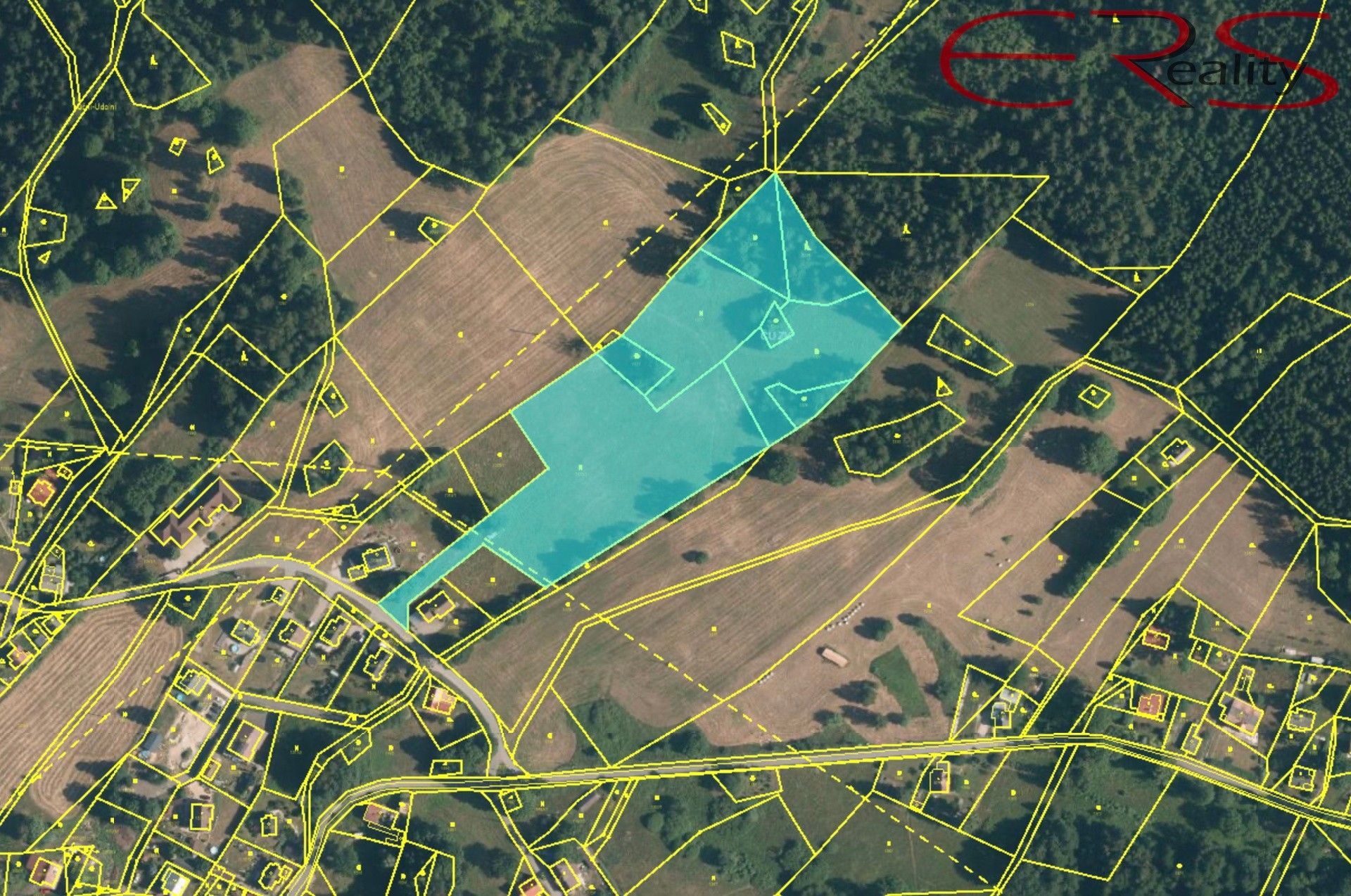 Louky, Smržovka - 2
