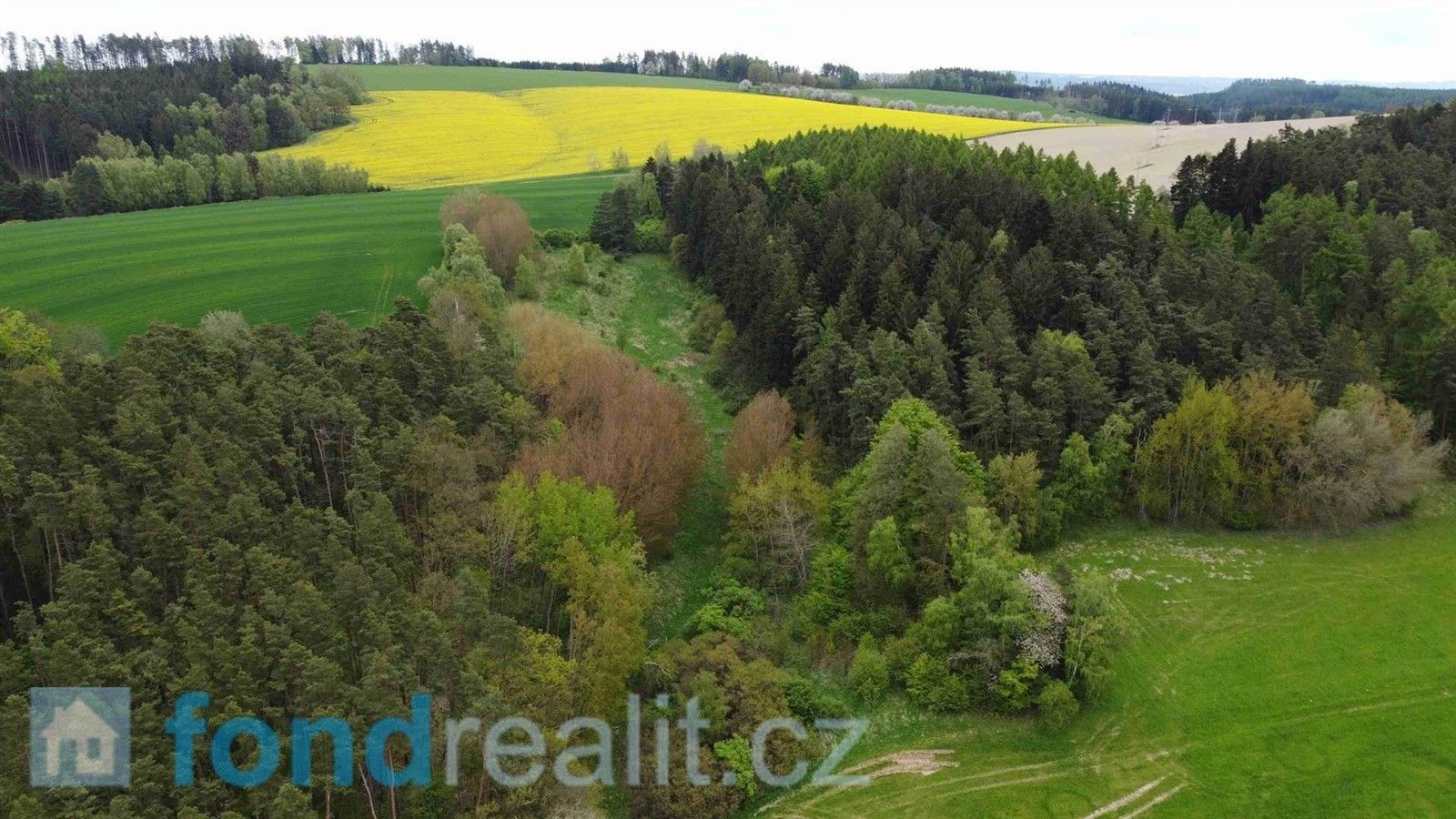 Prodej zemědělský pozemek - Křenov, 16 180 m²